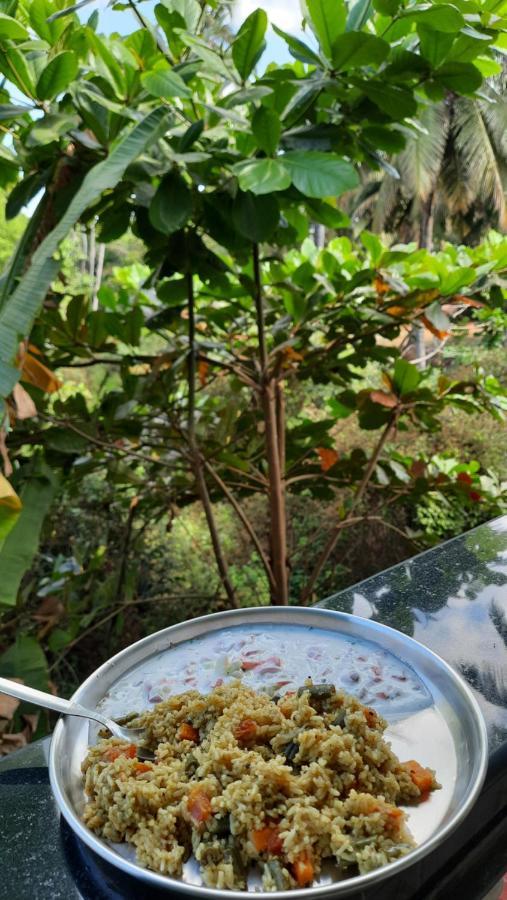 Tropical Wave Hostel Morjim Goa Bagian luar foto